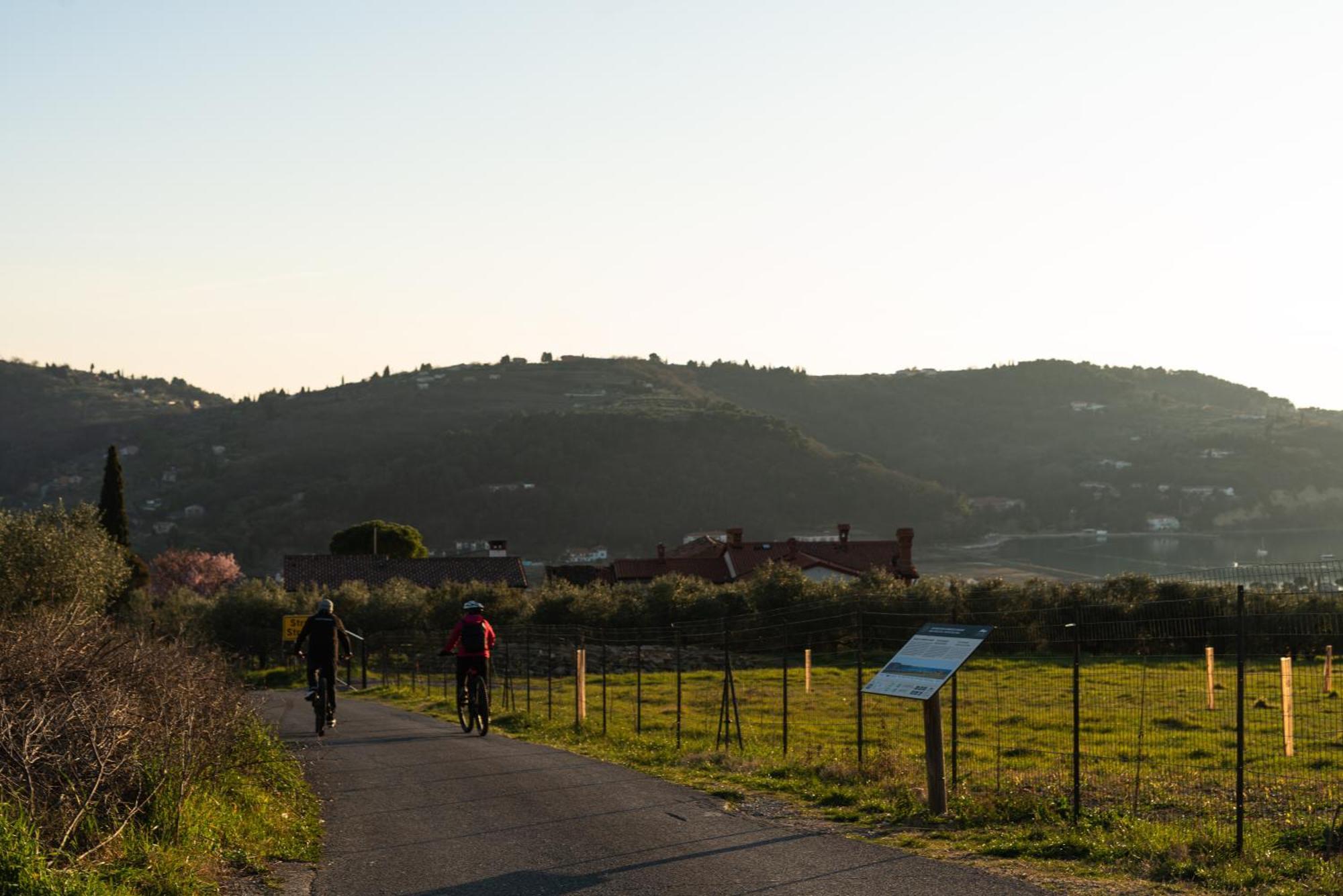 Villa Yadranka With Sea View Strunjan Oda fotoğraf